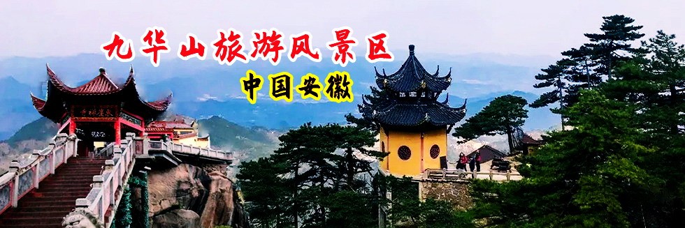 肏的溜水的视频