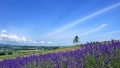 六九大鸡吧草逼电影日本一地6日游  境外旅游 6880元/人