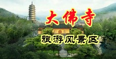 美女操鸡在线观看视频下载中国浙江-新昌大佛寺旅游风景区